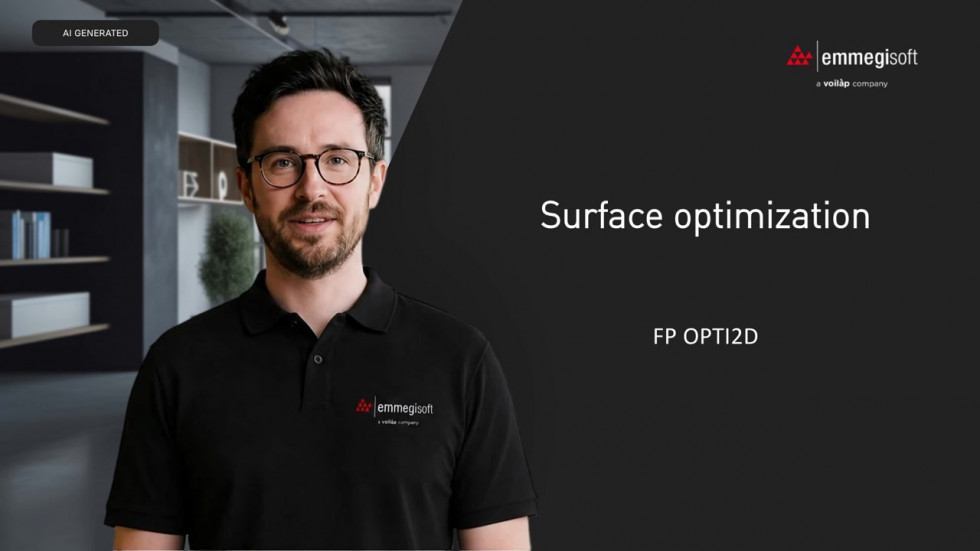 FP OPTI2D - Surface optimization Emmegisoft
